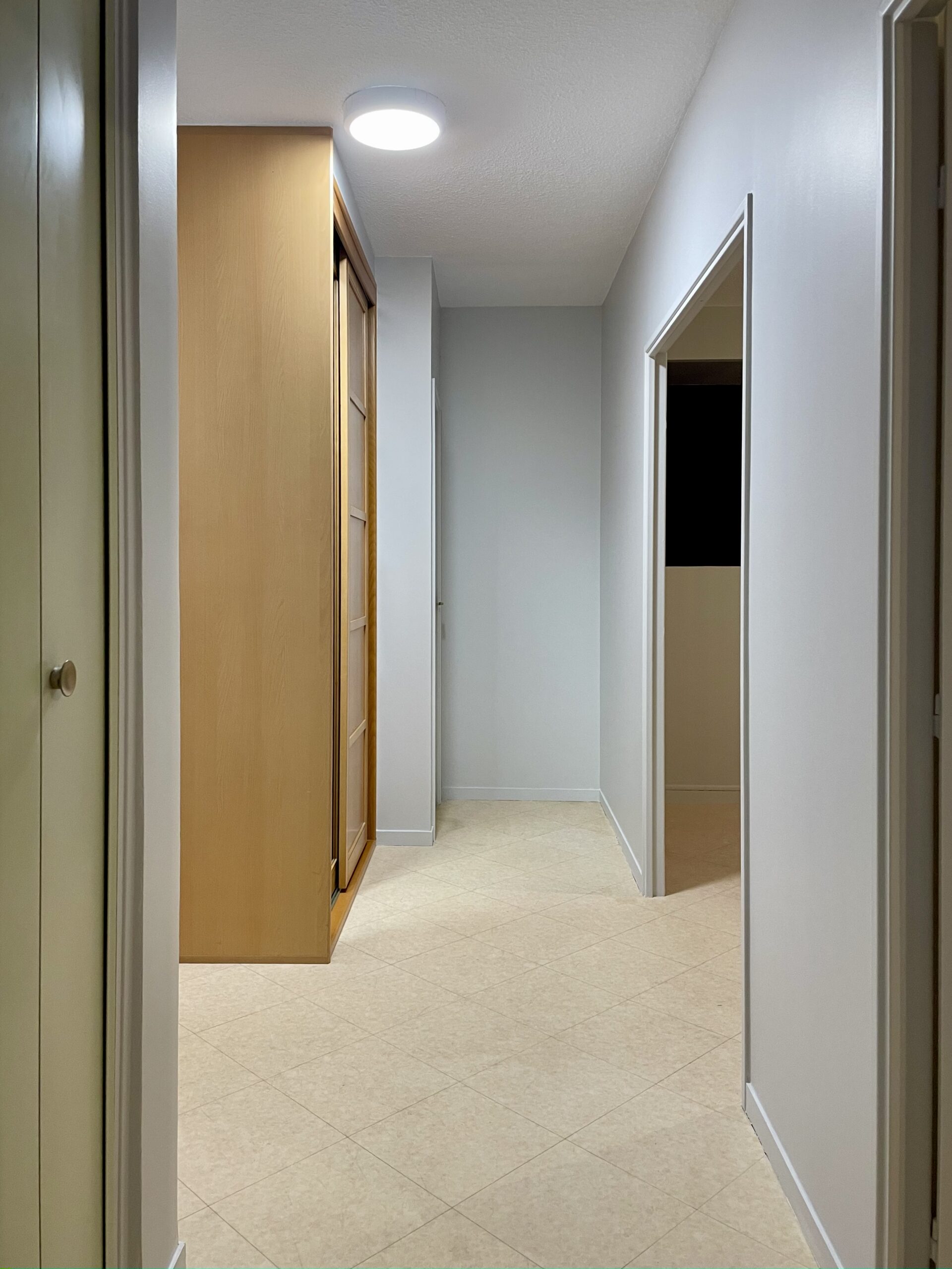 Entrée/couloir de l'appartement, les murs ont été repeints en gris clair,